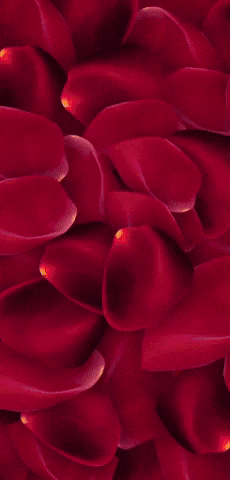 Chuckles Leprosy GIF