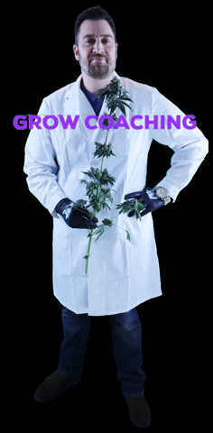 Growing Man Standing GIF by 4Trees