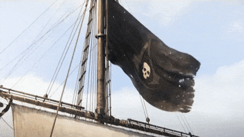 Black Flag GIF by Assassin's Creed