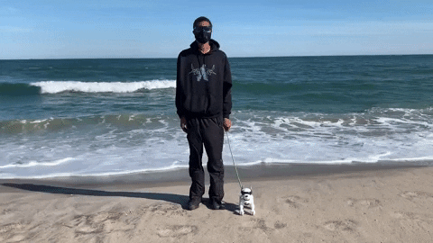 Giphy