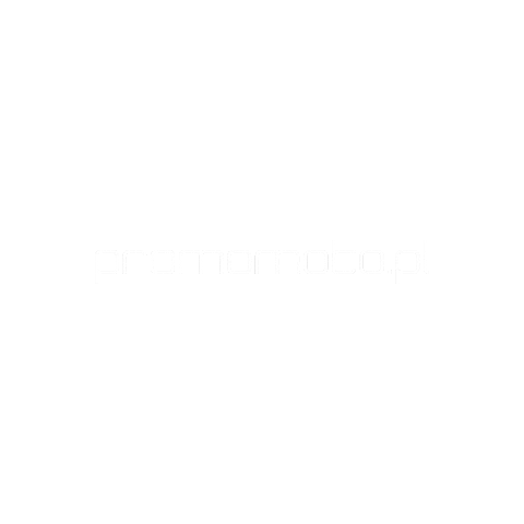 promomoto Sticker