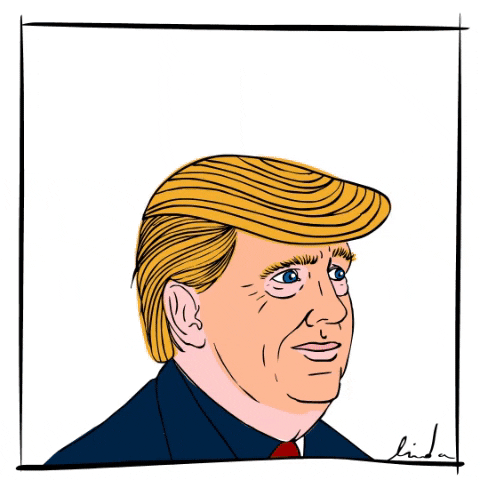 Trump Usa GIF by Linski101