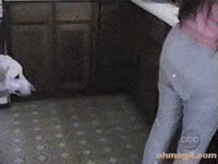 Animal-attack GIFs - Get the best GIF on GIPHY Animal-attack GIFs - Get the best GIF on GIPHY