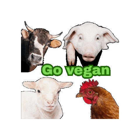 Go Vegan Sticker by Natur-Clean-up