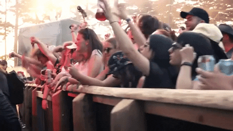 NYE on the Hill GIF - Find & Share on GIPHY