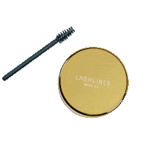 Lash Lines Sticker