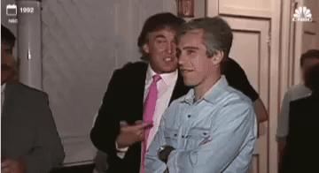 Trump Epstein GIF
