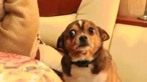 giphy.gif?cid=82a1493b48e6571b5067e51138
