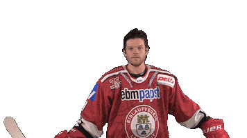 Ev Landshut Sticker by EVL Spielbetrieb GmbH