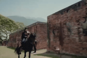 Scarlet Heart Thailand GIF