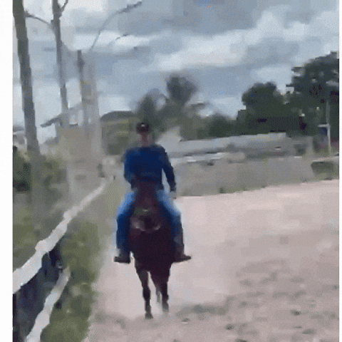 Bruno GIF