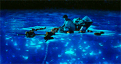 bioluminiscence