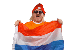 Nederlands Elftal Ek Sticker by Immer Hansi