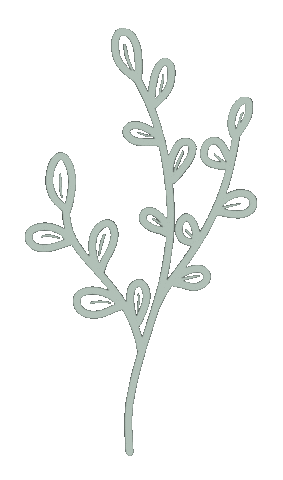 Plants Leaf Sticker