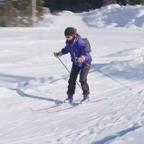 ski vinter GIF by NRK P3