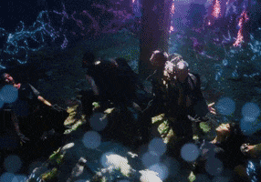200.gif?cid=fc005b089907ac1f8850a55c309155a30e1f9ec217415817&rid=200.gif&ct=g