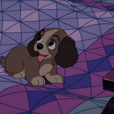 Lady And The Tramp Dog GIF by Disney