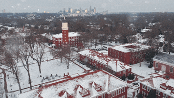 Quc GIF by Queens University of Charlotte