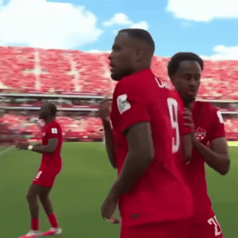 Fifa World Cup Football GIF
