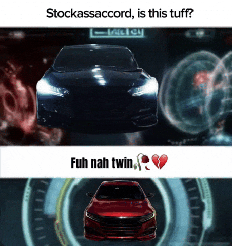 Is This Tuff GIF