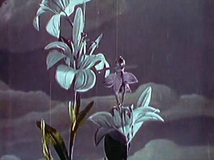 Early-cinema GIFs - Get the best GIF on GIPHY