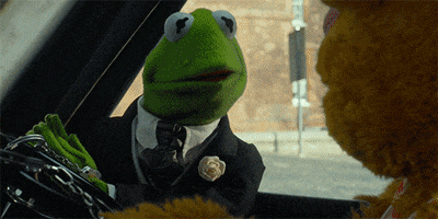 The Muppets Film GIF by Disney