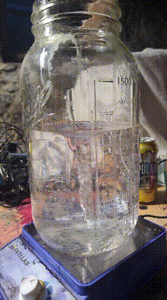 GIF by DevastatorBrand