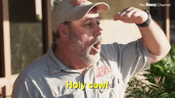 Holy Moly Clips - Find & Share on GIPHY