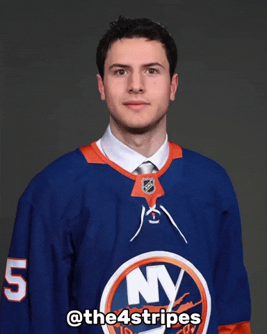 New York Islanders Hockey GIF