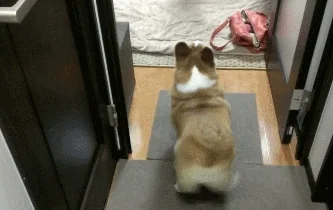 Excited Weekend GIF