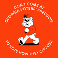 Voting Rights Georgia