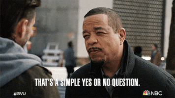 Episode 18 Yes Or No Question GIF by Law & Order