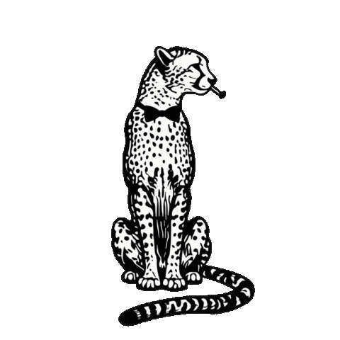 Las Olas Sticker by Gulfstream Park