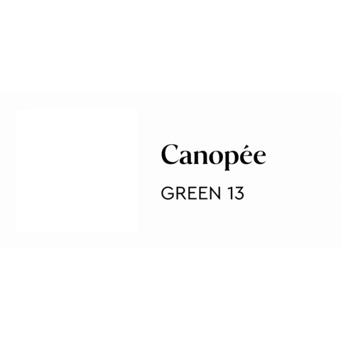 Plumcolors Sticker by Plum Living