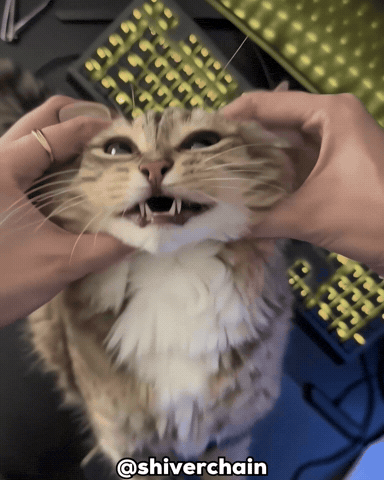 Cat Ai GIF