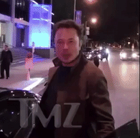 Elon Musk What GIF