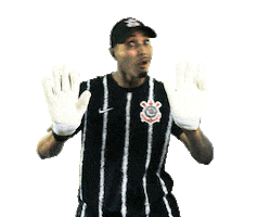 Gavioes Da Fiel Soccer Sticker