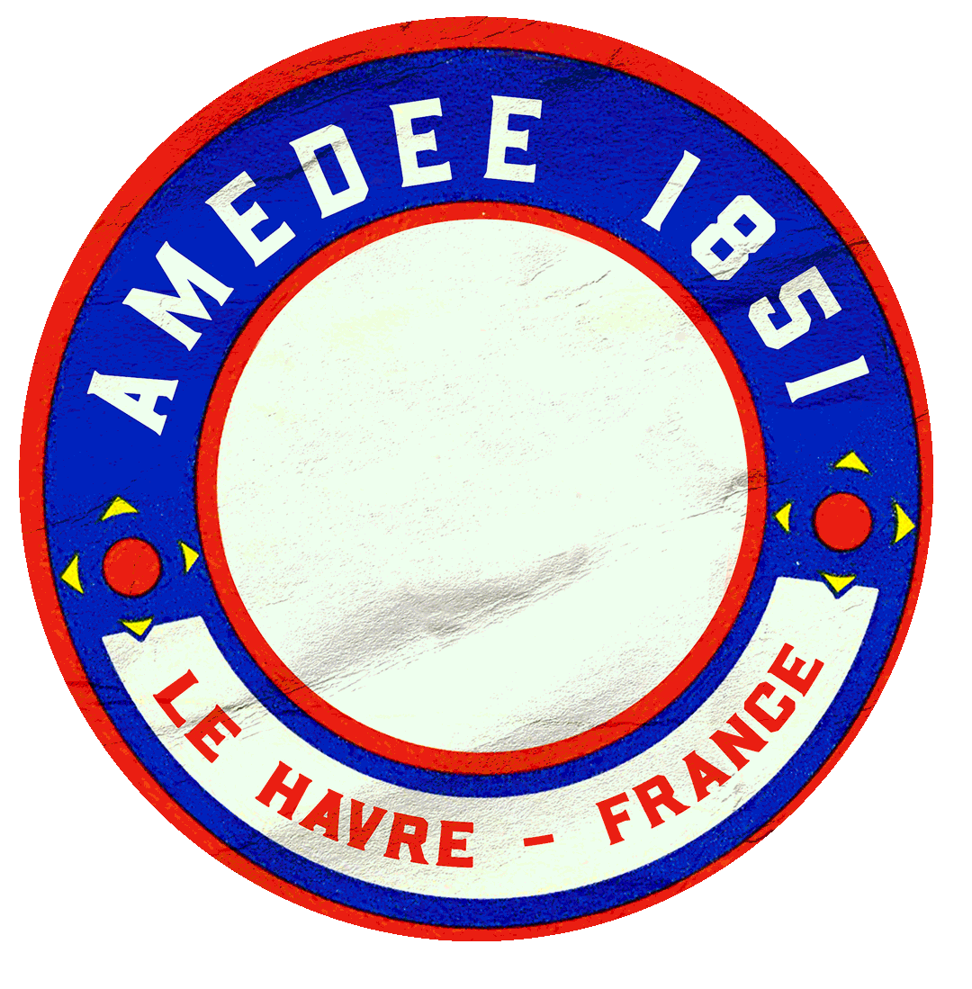 Travel Passport Sticker by Amédée 1851