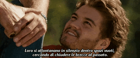 Into The Wild GIFs - Get the best GIF on GIPHY