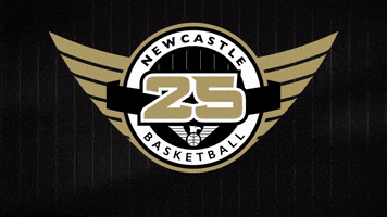 British Basketball GIF by Newcastle Eagles