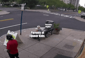 Lgbt Queer GIF