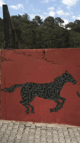 Run Horse GIF