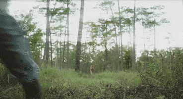 Run Running GIF by VVS FILMS