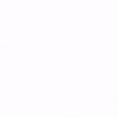 TOmycity GIF