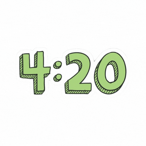 420flipflop GIFs Get the best GIF on GIPHY