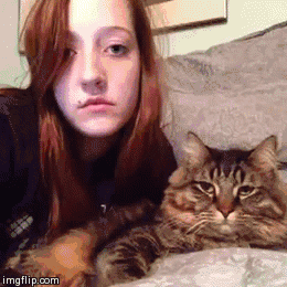 cats dancing GIF by Cheezburger