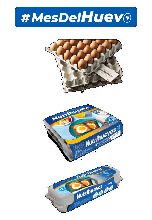 Mesdelhuevo Sticker by nutrihuevos