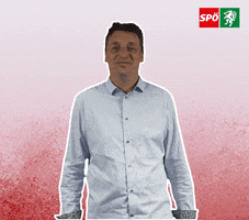Top Burgermeister GIF by SPÖ Steiermark
