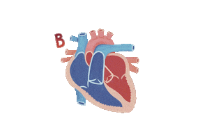 Heart Halloween Sticker by Stacy McAnulty