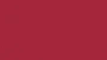 Charroslmb2025 GIF by Charros de Jalisco